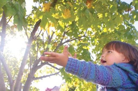 photograph by Lori A. Cheung from My Amazing Day by Karin Fisher-Golton, Lori A. Cheung, and Elizabeth Iwamiya ©2013